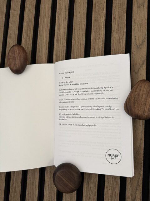 The Study Guide – Sygeplejeteori - Billede 4