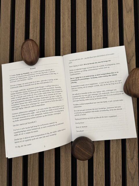 The Study Guide – Sygeplejeteori - Billede 5